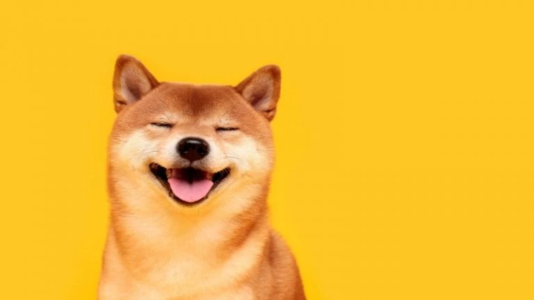Shiba Inu Coin